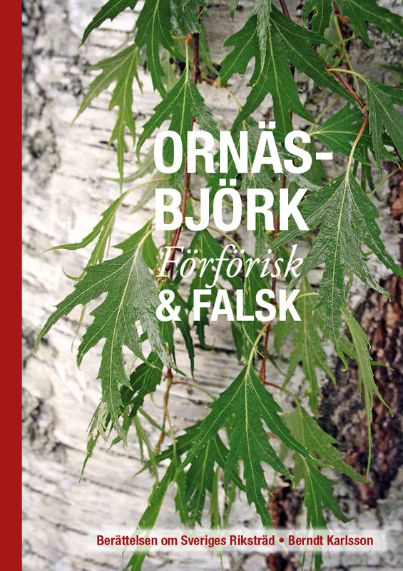 Bok: Ornäsbjörk, förförisk och falsk